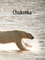 Puffins and Polar Bears - Russia - Chukotka